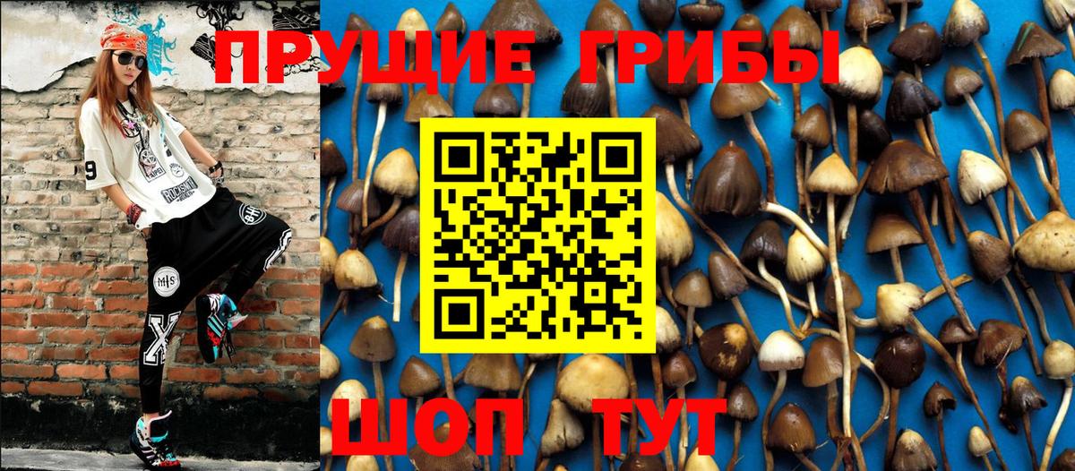 Псилоцибиновые грибы прущие грибы Куйбышев