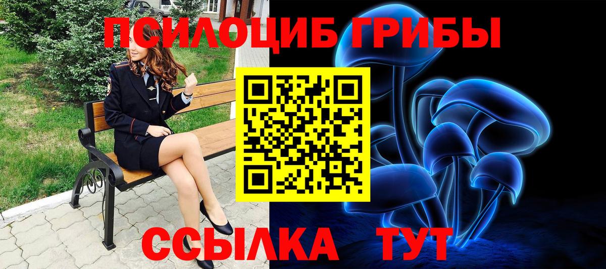 Галлюциногенные грибы Psilocybe  наркота  Куйбышев  Вход с VPN  Галлюциногенные грибы Psilocybine cubensis 